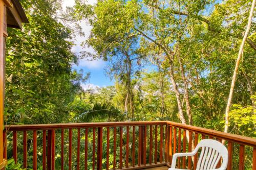 Varanda/terraço, Mariposa Jungle Lodge in San Ignacio