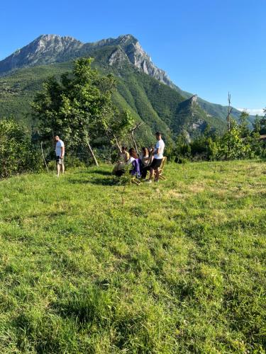 Bujtina Merturi - image 11