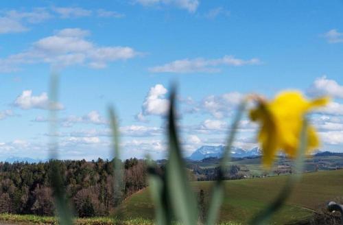 AUSZEIT auf dem BAUERNHOF Heimelige Ferienwohnung für bis zu 4 Personen im Emmental E-Bike Paradies Wandern