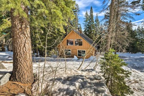 Bear Valley Cabin - Ski to XC Trails! in Kirkwood (CA)