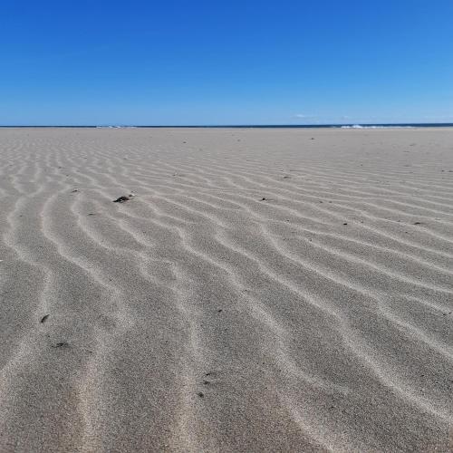 FiveStepsToSea - Beach Apartment Valencia, Valencie (fotografie 8)