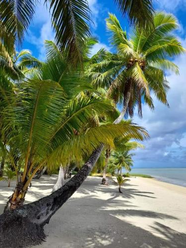 Paparei Beachfront Bungalows, Aitutaki in Arutanga