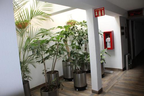 Exterior view, Hotel del Sur in Iztapalapa-Wholesale Markets