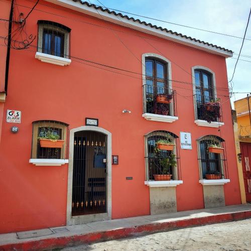 7 orejas, Quetzaltenango (Foto 2)