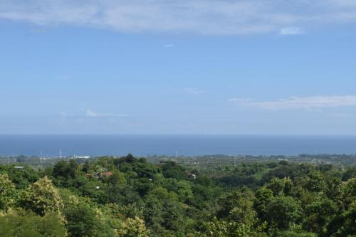 The Hacienda Lovina The Hacienda Lovina