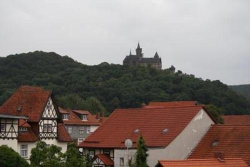 Gemütliche Wohnung in Wernigerode mit Garten - a80035