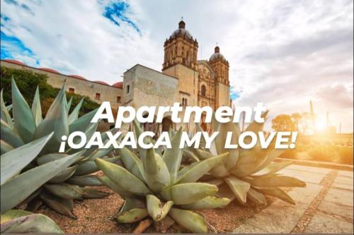 오악사카 Moderno y Tradicional, elegante departamento en Oaxaca 3성급 싱글룸 객실