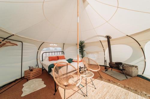 Bamburgh Under Canvas 5