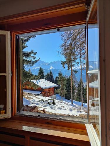 Arche de Noe B&B in Bagnes