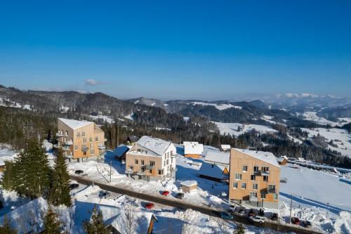 ORYN Panorama Kubínska hoľa