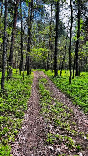 Ośrodek Wypoczynkowy KROPELKA (Osrodek Wypoczynkowy KROPELKA) in Jedlanka Stara