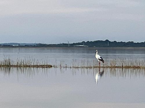 La Balsa, José Ignacio (photo 7)