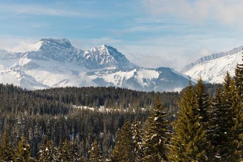 Lagrange Vacances Le Village des Lapons - image 14