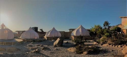 Totoralillo Glamping