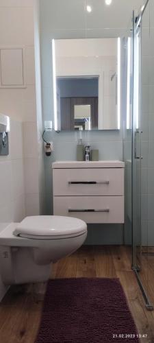 One-Bedroom Apartment image 4