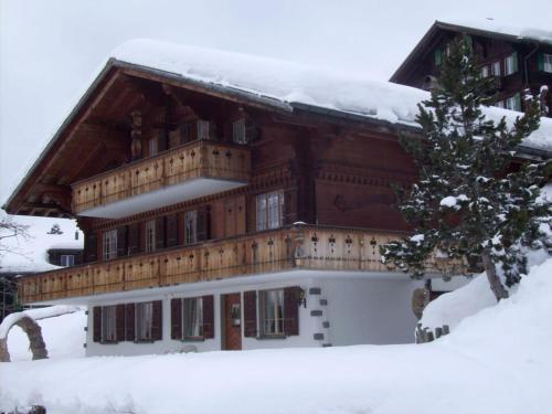 Chessibach 2 Bett Wohnung Grindelwald