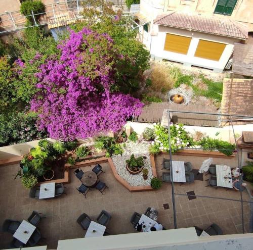 Hostal Nadal - image 11