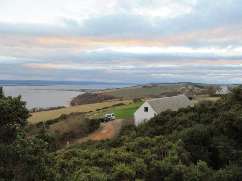 Osprey, Longhouse Cottages - Rosemarkie