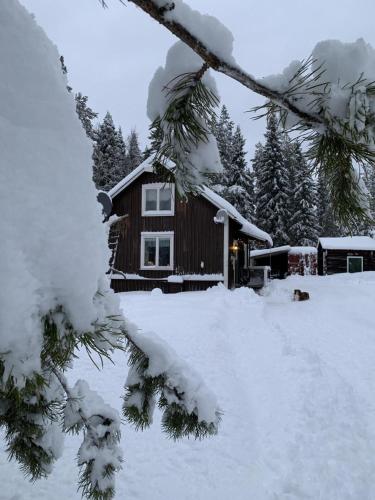 . Ferienhaus für 2 Personen ca 65 m in Överkalix, Nordschweden Norrbotten