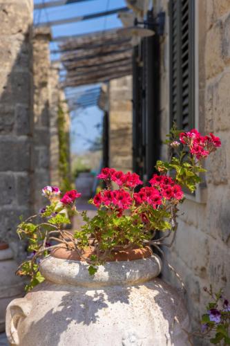 Casa Ulmi con piscina