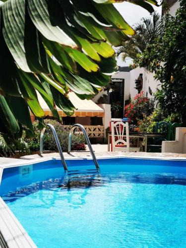 Ferienhaus in Icod De Los Vinos mit Privatem Garten