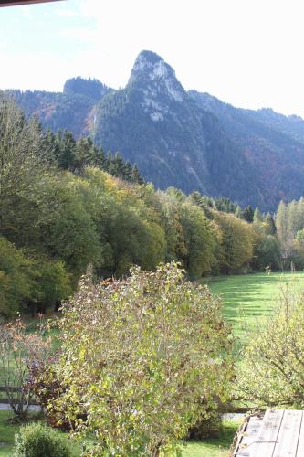 Ferienwohnungen Almrausch - image 13