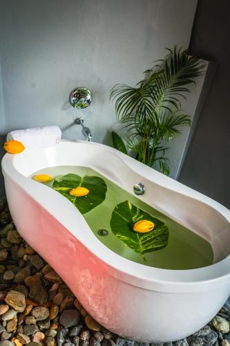 Castara Cottage by Hello Mello in Кастара