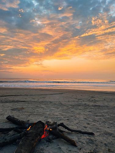 Omgivelser, Villa Soforal in Cap Skirring