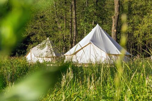 Glamping Camp mit Komfortzelten in Losheim am See