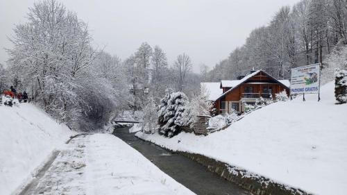 Domek nad Kryniczanką