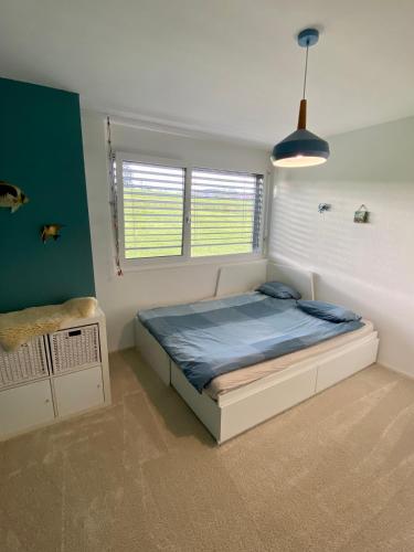 Modernes Haus mit 5 Zimmer mit Pool Nähe von Zürich