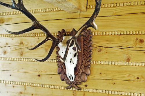 Zacisze Pod Lipą Zacisze Pod Lipą