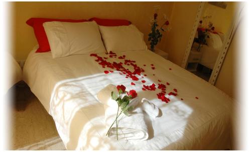 Gaia's Room B&B