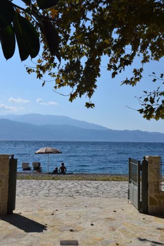 The Beach House, Skaloma