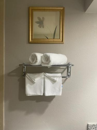 Days Inn by Wyndham Fayetteville-South/I-95 Exit 49 - image 11