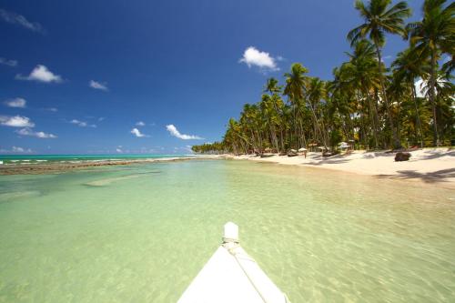Pontal dos Carneiros Beach Bungalows - 주변 환경