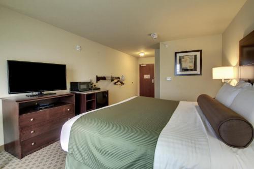 Cobblestone Hotel & Suites - Waynesboro