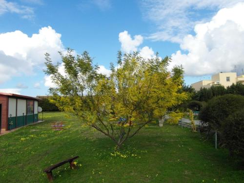 Agriturismo Il Gelsomino Ritrovato - image 8