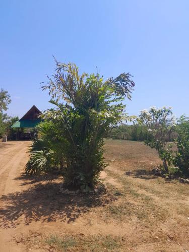 Jilymar Cabaña de descanso, Isla de Barú - Cartagena