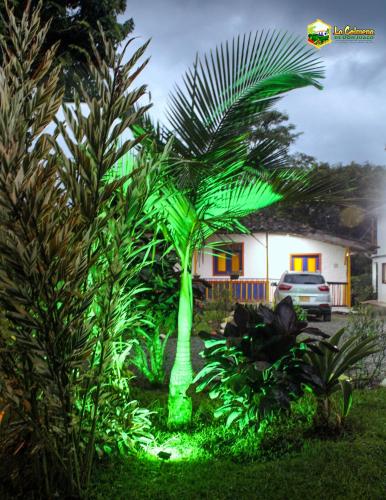 สวน, Finca La Colmena De Don Juaco in มอนเตเนโกร