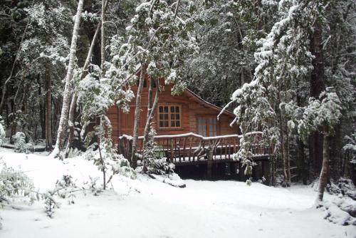 Cabaña Rustica Patagonia Chilena