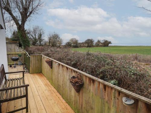 Field View - image 13