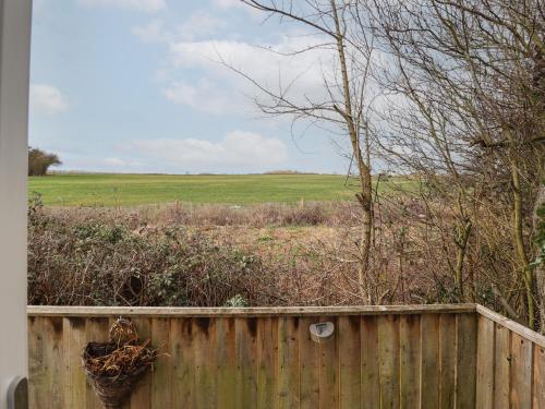 Field View - image 9