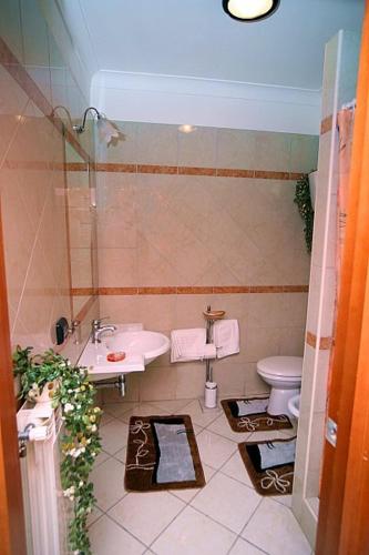 B&B Ginevra 2 - image 10