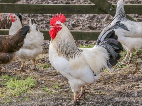 Five Wells Barn Five Wells Barn