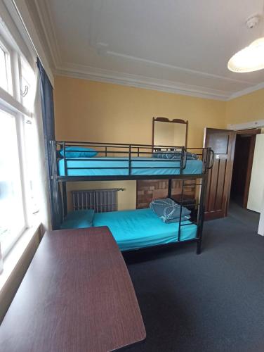 Bed in 4-Bed Dormitory Room