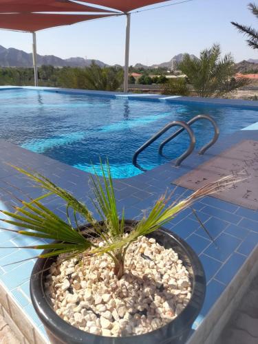 Surrounding environment, Peace Farm in Hatta