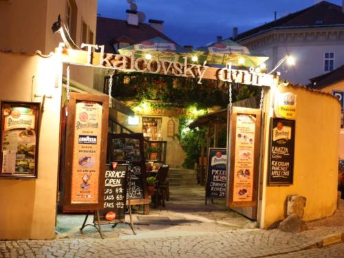 Apartments & Restaurant Tkalcovsky dvur - image 11