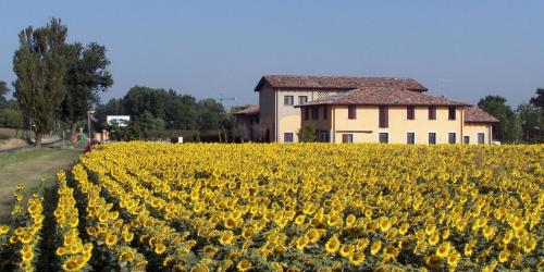 Hotel del Rio Srl - RISTORANTE e Azienda agricola