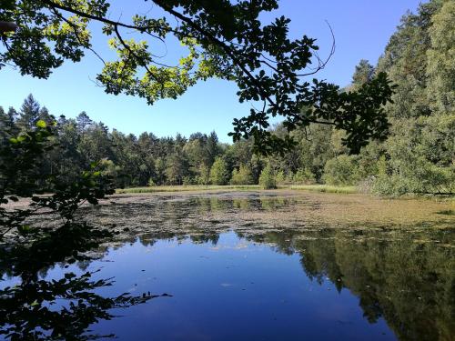 Gemütliche Fewo am Felsenwanderweg